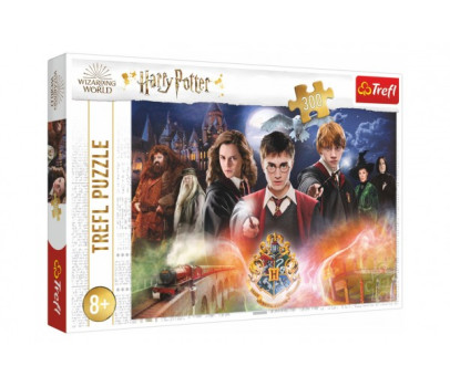 Puzzle Tajemství Harry Potter 300dílků 60x40cm v krabici 40x27x4cm