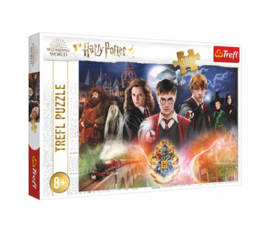 Puzzle Tajemství Harry Potter 300dílků 60x40cm v krabici 40x27x4cm