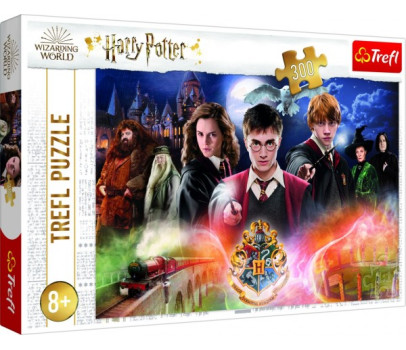 Puzzle Tajemství Harry Potter 300dílků 60x40cm v krabici 40x27x4cm