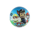 Míč Tlapková patrola/Paw patrol nafouknutý 23cm v síťce