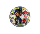 Míč Tlapková patrola/Paw patrol nafouknutý 23cm modrý v síťce