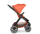 ABC Design Samba carrot 2024