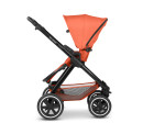 ABC Design Samba carrot 2024