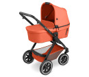 ABC Design Samba carrot 2024