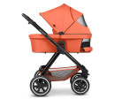 ABC Design Samba carrot 2024