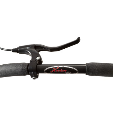 Hartan Racer GTS Brake Trigon-Felge 803