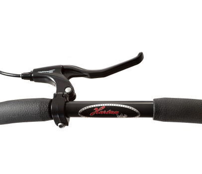 Hartan Racer GTS Brake Trigon-Felge 805