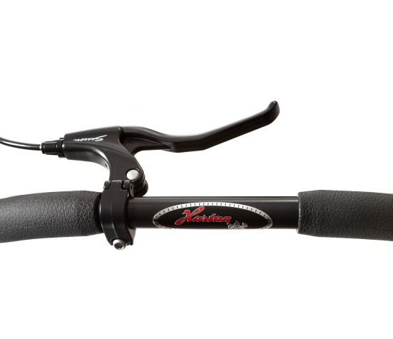 Hartan Racer GTS Brake Trigon-Felge 815