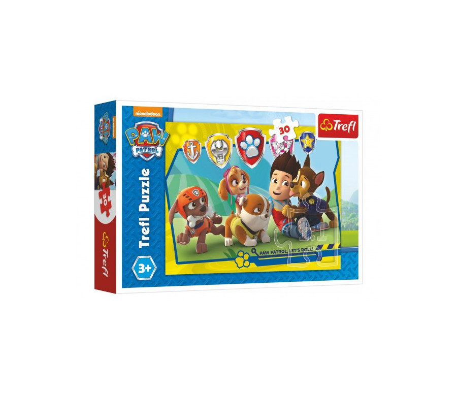 Puzzle Paw Patrol/Tlapková patrola Ryder a kamarádi 27x20cm 30 dílků v krabičce 21x14x4cm