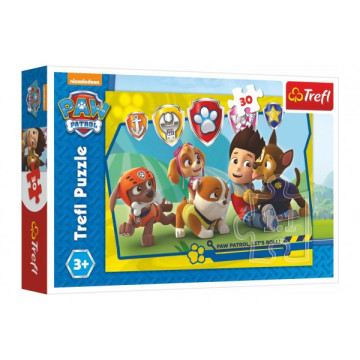 Puzzle Paw Patrol/Tlapková patrola Ryder a kamarádi 27x20cm 30 dílků v krabičce 21x14x4cm