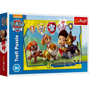 Puzzle Paw Patrol/Tlapková patrola Ryder a kamarádi 27x20cm 30 dílků v krabičce 21x14x4cm