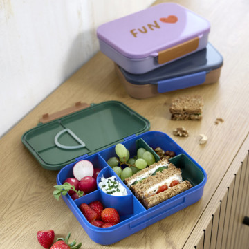 Lunchbox Bento Little Gang rainbow green