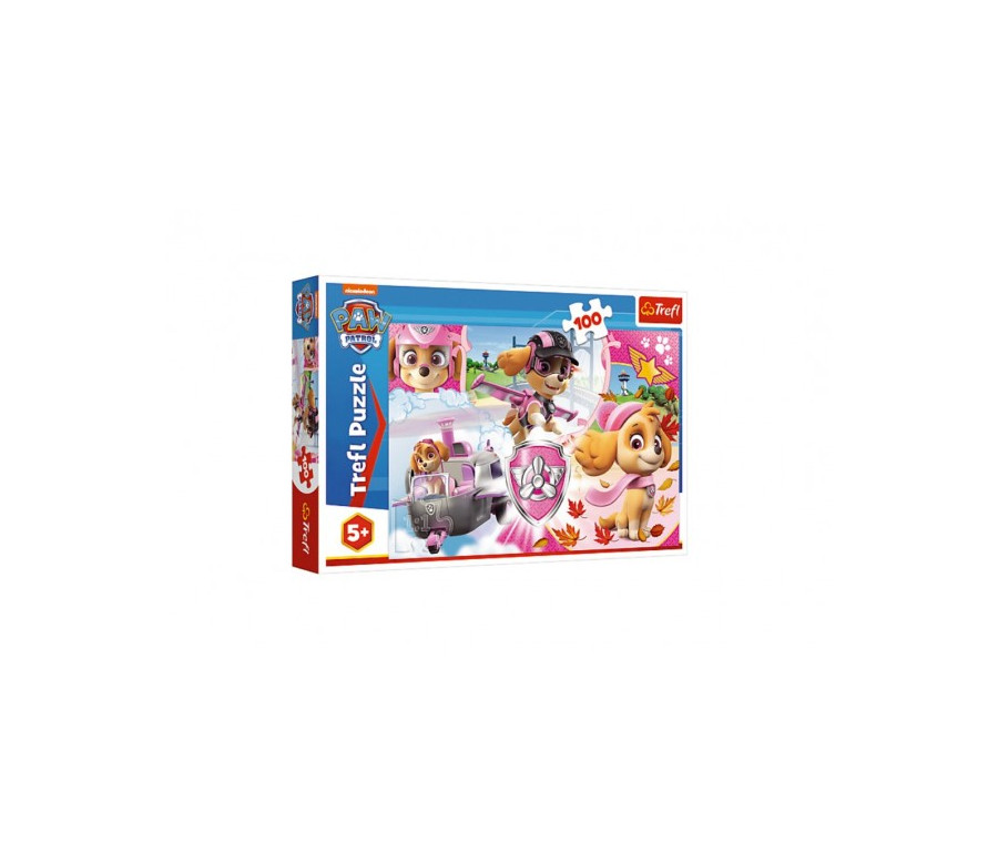 Puzzle Paw Patrol/Tlapková patrola Skye v akci 41x27,5cm 100 dílků v krabici 29x19x4cm