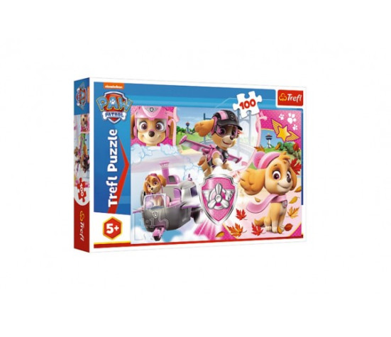 Puzzle Paw Patrol/Tlapková patrola Skye v akci 41x27,5cm 100 dílků v krabici 29x19x4cm