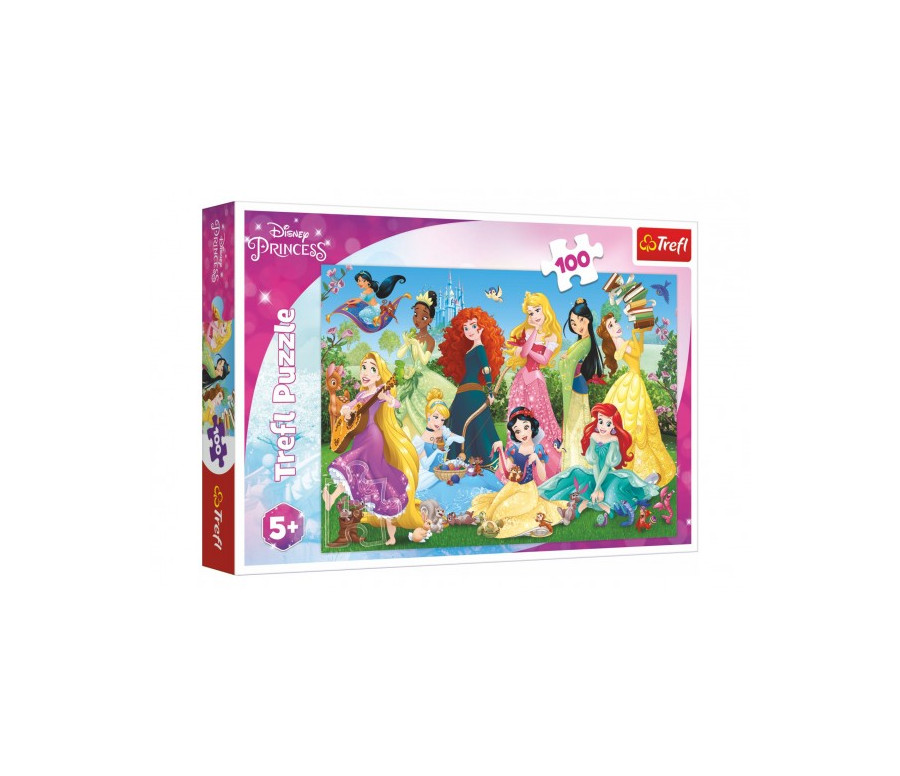 Puzzle Půvabné princezny/Disney 100 dílků 41x27,5cm v krabici 29x19x4cm