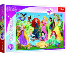 Puzzle Půvabné princezny/Disney 100 dílků 41x27,5cm v krabici 29x19x4cm