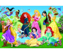 Puzzle Půvabné princezny/Disney 100 dílků 41x27,5cm v krabici 29x19x4cm