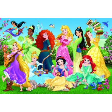 Puzzle Půvabné princezny/Disney 100 dílků 41x27,5cm v krabici 29x19x4cm