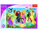 Puzzle Půvabné princezny/Disney 100 dílků 41x27,5cm v krabici 29x19x4cm