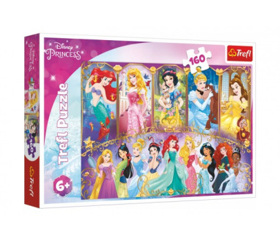 Puzzle Portréty princezen Disney 41x27,5cm 160 dílků v krabici 29x19x4cm