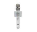 Mikrofon karaoke Bluetooth stříbrný na baterie s USB kabelem v krabici 10x28x8,5cm