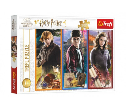 Puzzle Ve světě magie a čarodějnictví/Harry Potter 200 dílků 48x34cm v krabici 33x23x4cm