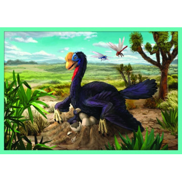 Puzzle 10v1 Seznamte se se všemi dinosaury v krabici 40x27x6cm