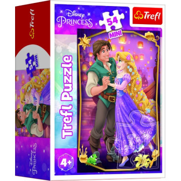 Minipuzzle Krásné princezny/Disney Princess 54dílků 4 druhy v krabičce 6x9x4cm 40ks v boxu