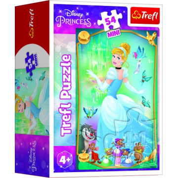 Minipuzzle Krásné princezny/Disney Princess 54dílků 4 druhy v krabičce 6x9x4cm 40ks v boxu