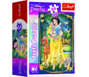 Minipuzzle Krásné princezny/Disney Princess 54dílků 4 druhy v krabičce 6x9x4cm 40ks v boxu