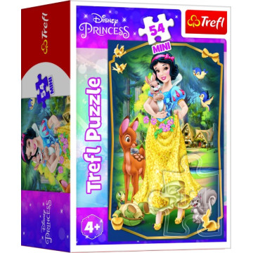 Minipuzzle Krásné princezny/Disney Princess 54dílků 4 druhy v krabičce 6x9x4cm 40ks v boxu