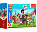 Minipuzzle 54 dílků Paw Patrol/Tlapková Patrola 4 druhy v krabičce 9x6x3cm 40ks v boxu