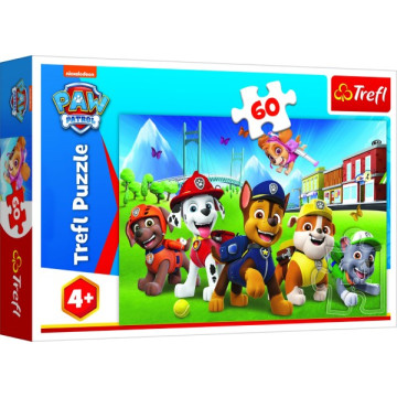 Puzzle Paw Patrol/Tlapková patrola v trávě 33x22cm 60 dílků v krabici 21x14x4cm