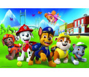 Puzzle Paw Patrol/Tlapková patrola v trávě 33x22cm 60 dílků v krabici 21x14x4cm