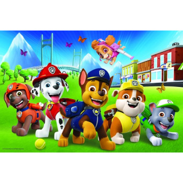 Puzzle Paw Patrol/Tlapková patrola v trávě 33x22cm 60 dílků v krabici 21x14x4cm