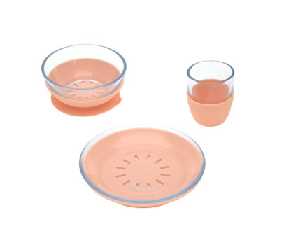 Dish Set Glass/Silicone apricot