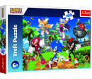 Puzzle Sonic a přátelé/Sonic The Hedgehog 41x27,5cm 160 dílků v krabici 29x19x4cm