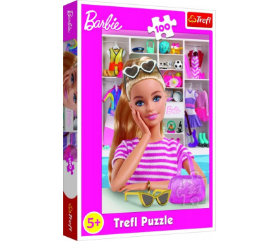 Puzzle Seznamte se s Barbie 100 dílků 41x27,5cm v krabici 19x29x4cm