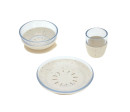 Dish Set Glass/Silicone nature