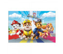 Minipuzzle Tlapková patrola/ Paw Patrol 35 dílků v krabičce 9x6,5x3cm