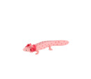 Axolotl mexický zooted plast 8cm v sáčku