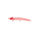 Axolotl mexický zooted plast 8cm v sáčku