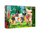 Puzzle Premium Plus - Čajový čas: Přicházejí problémy! 1000 dílků 68,3x48cm v krabici 40x27x6cm