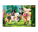 Puzzle Premium Plus - Čajový čas: Přicházejí problémy! 1000 dílků 68,3x48cm v krabici 40x27x6cm