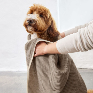 PALOPA Dog Towel Nobs taupe M-L