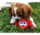 Lanco pets - Hračka pro psy - Dentální hračka pavouk