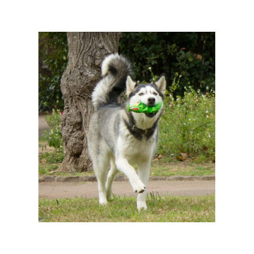 Lanco Pets - Hračka pro psy - Dentální hračka krokodýl