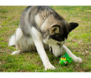Lanco Pets - Hračka pro psy - Dentální hračka krokodýl