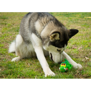 Lanco Pets - Hračka pro psy - Dentální hračka krokodýl