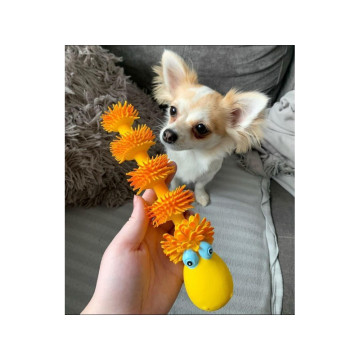 Lanco Pets - Hračka pro psy - Dentální hračka housenka